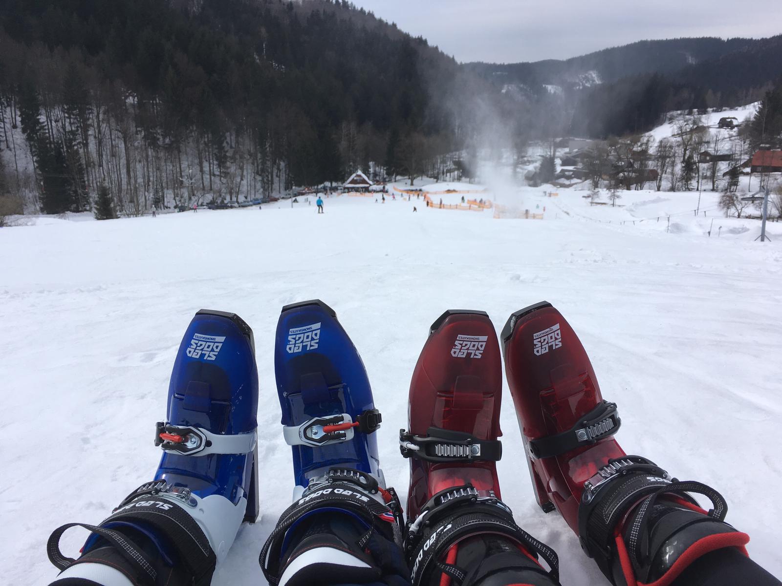 Sněžné brusle